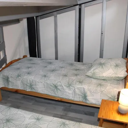 公寓 Capipa 阿格德